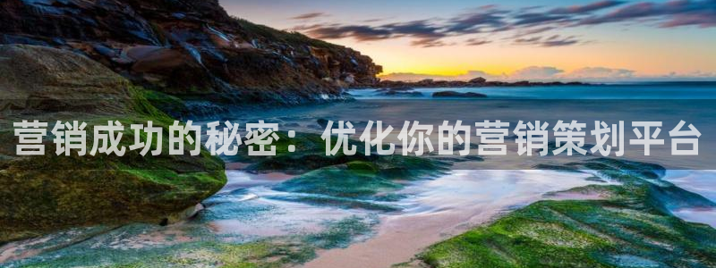 必赢网站是多少啊