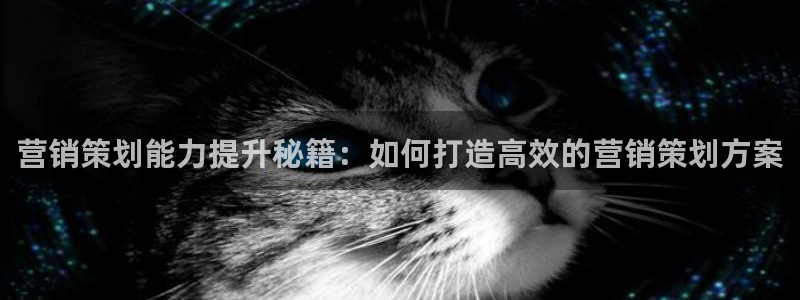 必赢官网app下载苹果