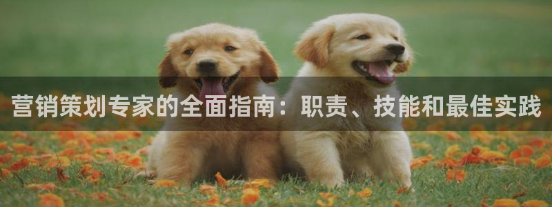 56.nt必赢官网