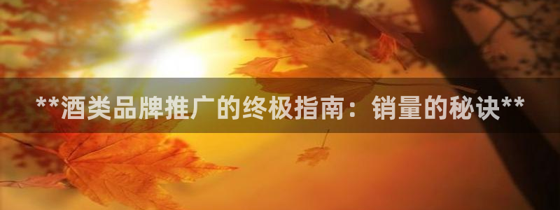 必赢手机app下载安装最新版
