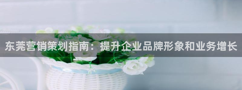 必赢下载安卓版