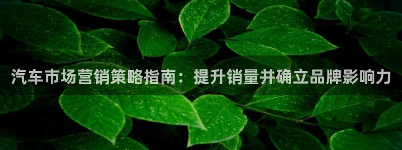 必赢下载
