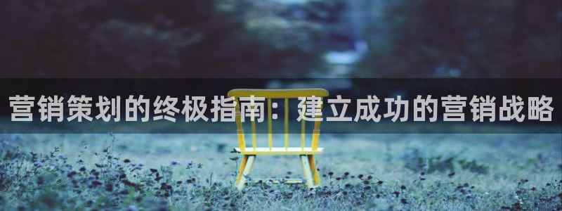 必赢首页：营销策划的终极指南：