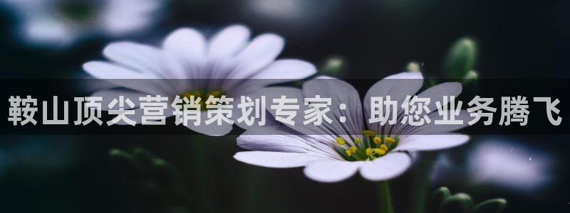 必赢手机app下载最新版本安卓
