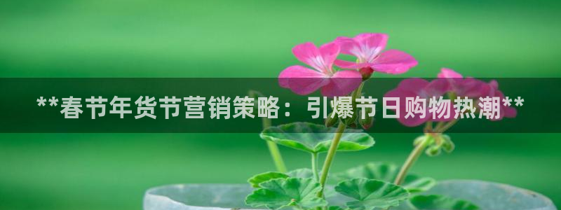 必赢网站是多少啊：**春节年货
