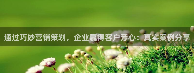 必赢平台网站多少