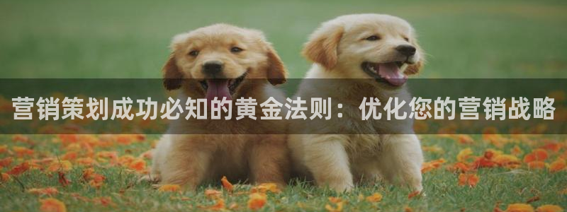 必赢官网app下载安装手机版最新版
