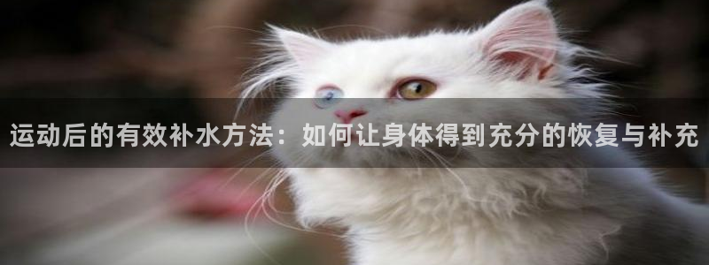 球速体育
