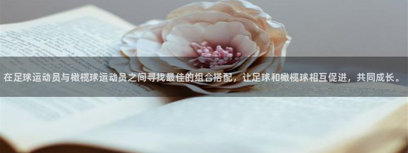 球速体育