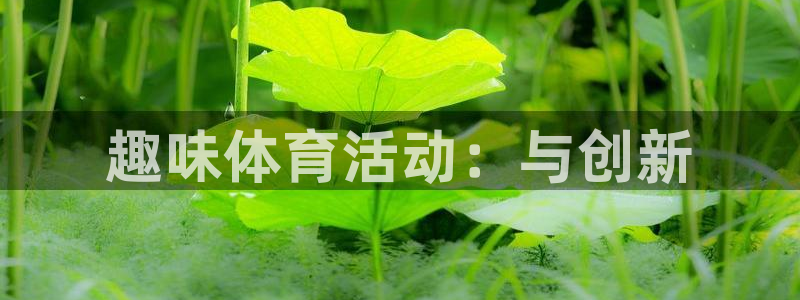 球速体育