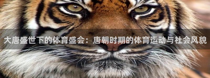 球速体育