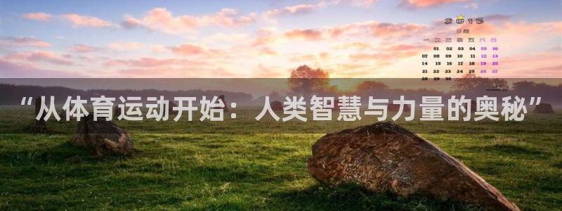 球速体育