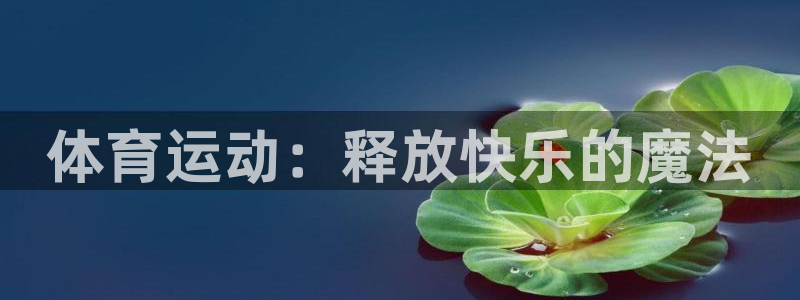 球速体育