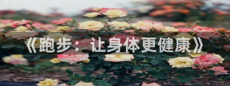 球速体育