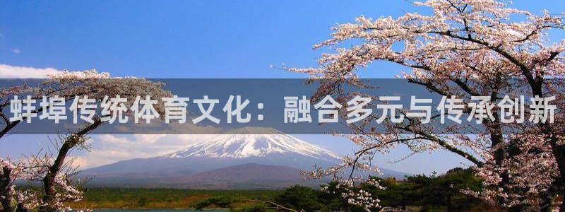 球速体育