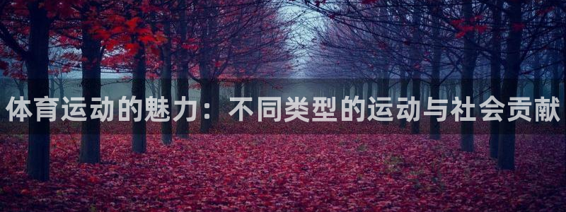 球速体育