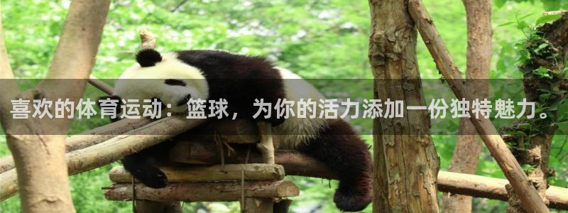 球速体育