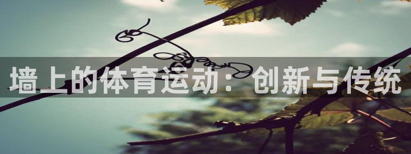 球速体育