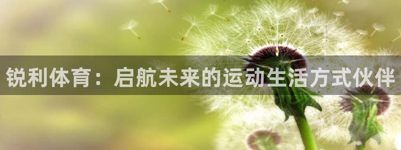 球速体育