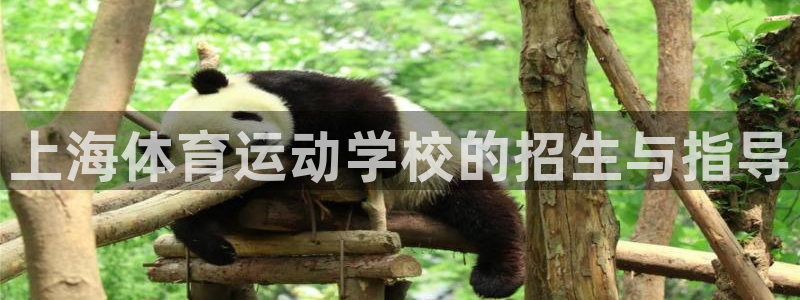 球速体育