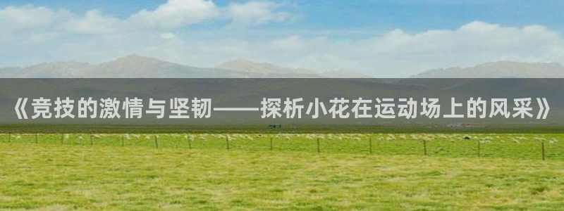 球速体育