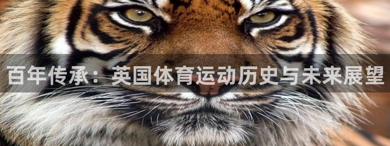 球速体育