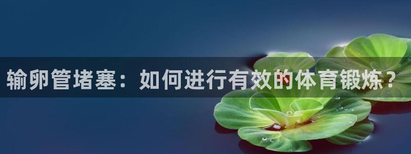 球速体育