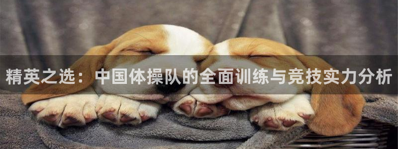球速体育