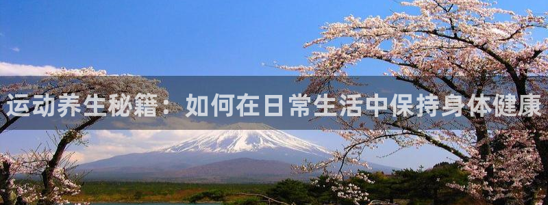 球速体育