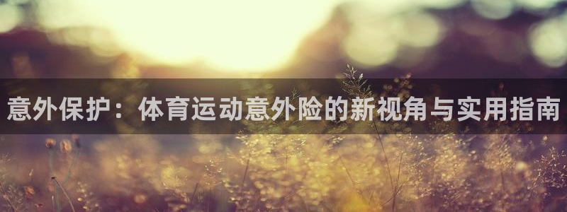 球速体育