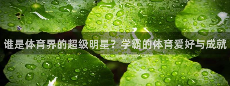 球速体育