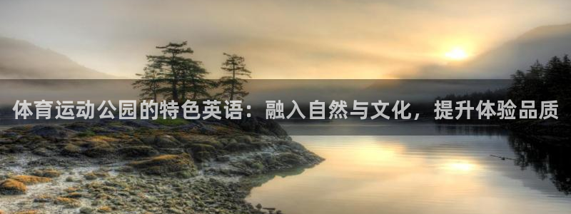 球速体育