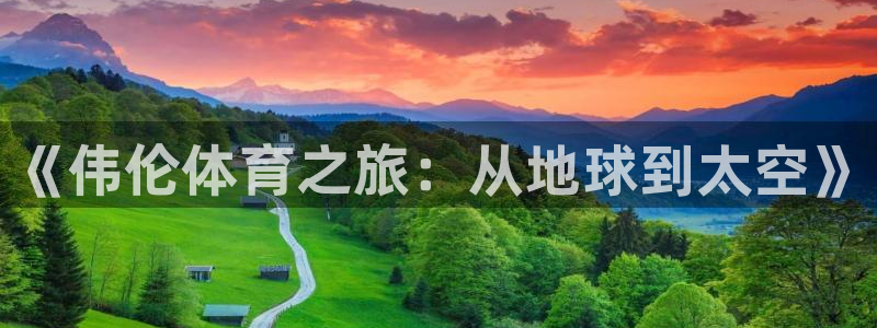 球速体育