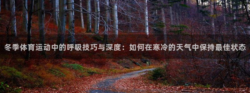 球速体育