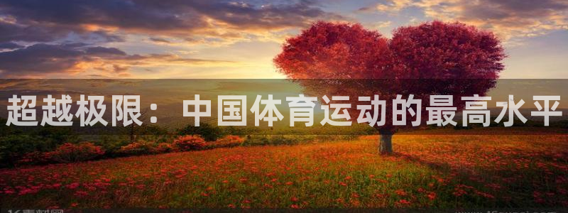 球速体育