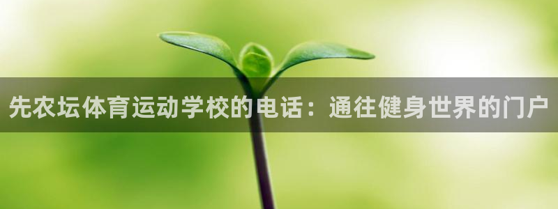 球速体育