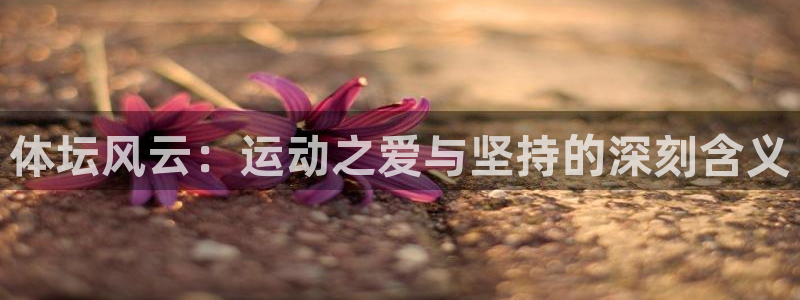 球速体育
