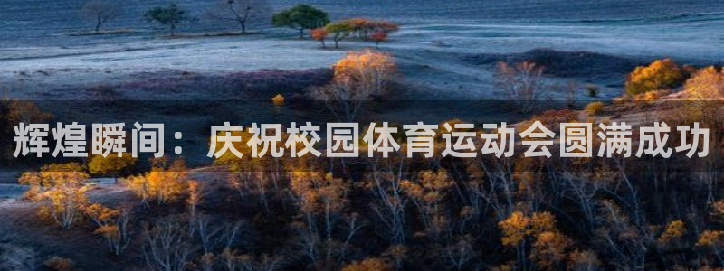 球速体育
