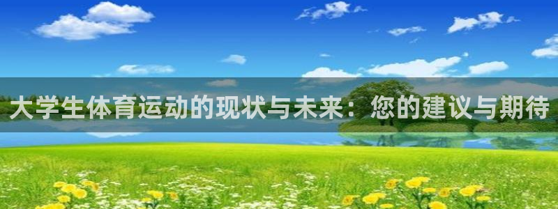 球速体育