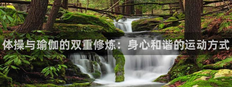 球速体育