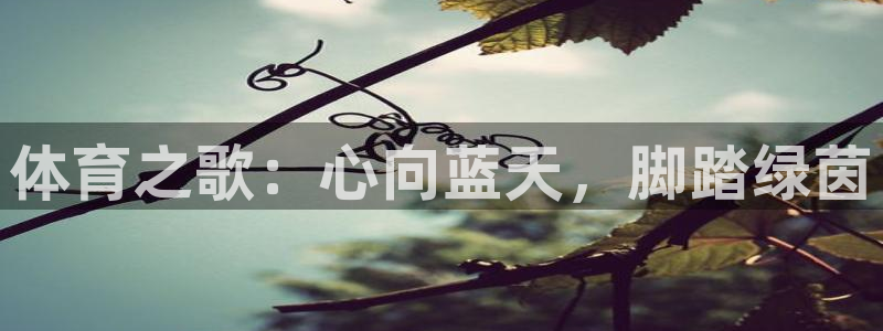 球速体育