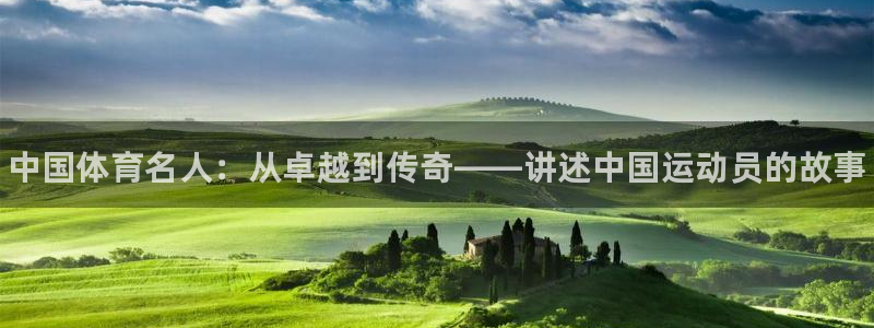 球速体育
