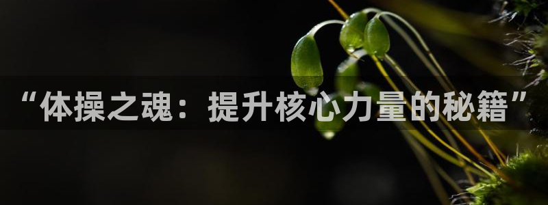 球速体育