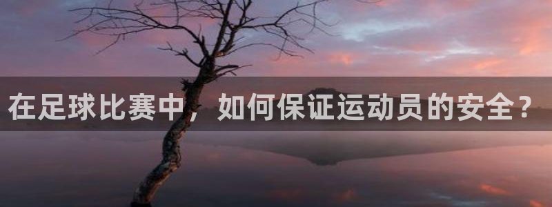球速体育