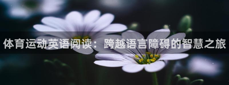 球速体育