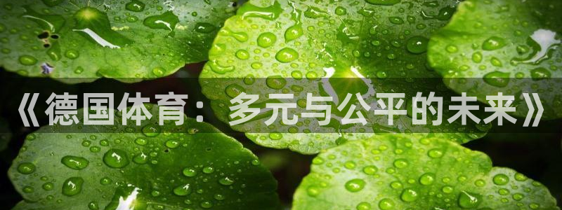 球速体育