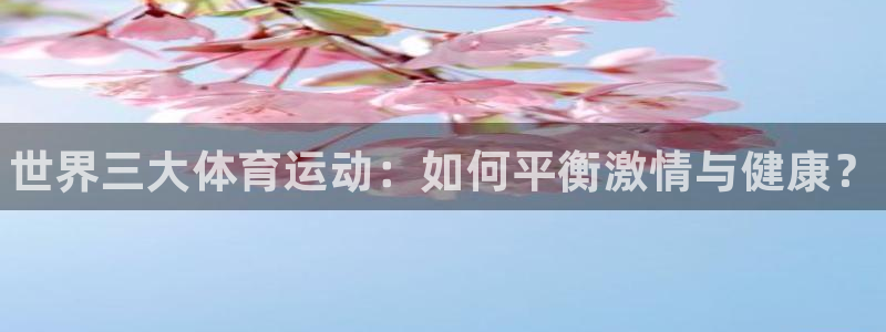 球速体育