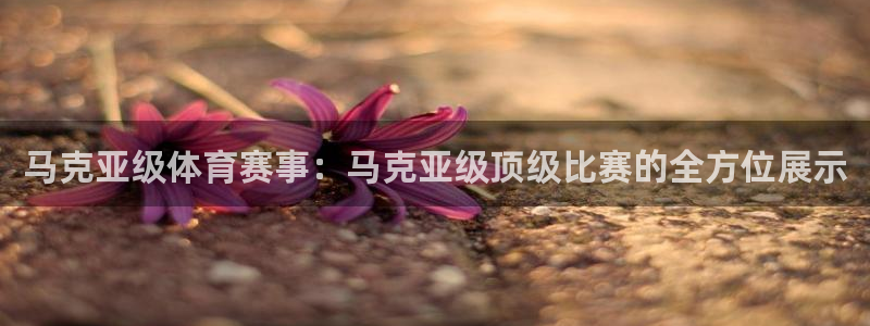 球速体育