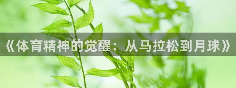球速体育