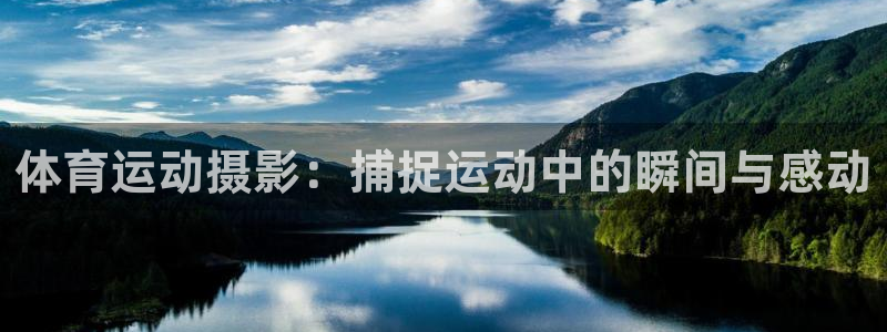 球速体育